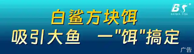 特辑|鱼我同行20年 第四篇： 乐钓享受生活
