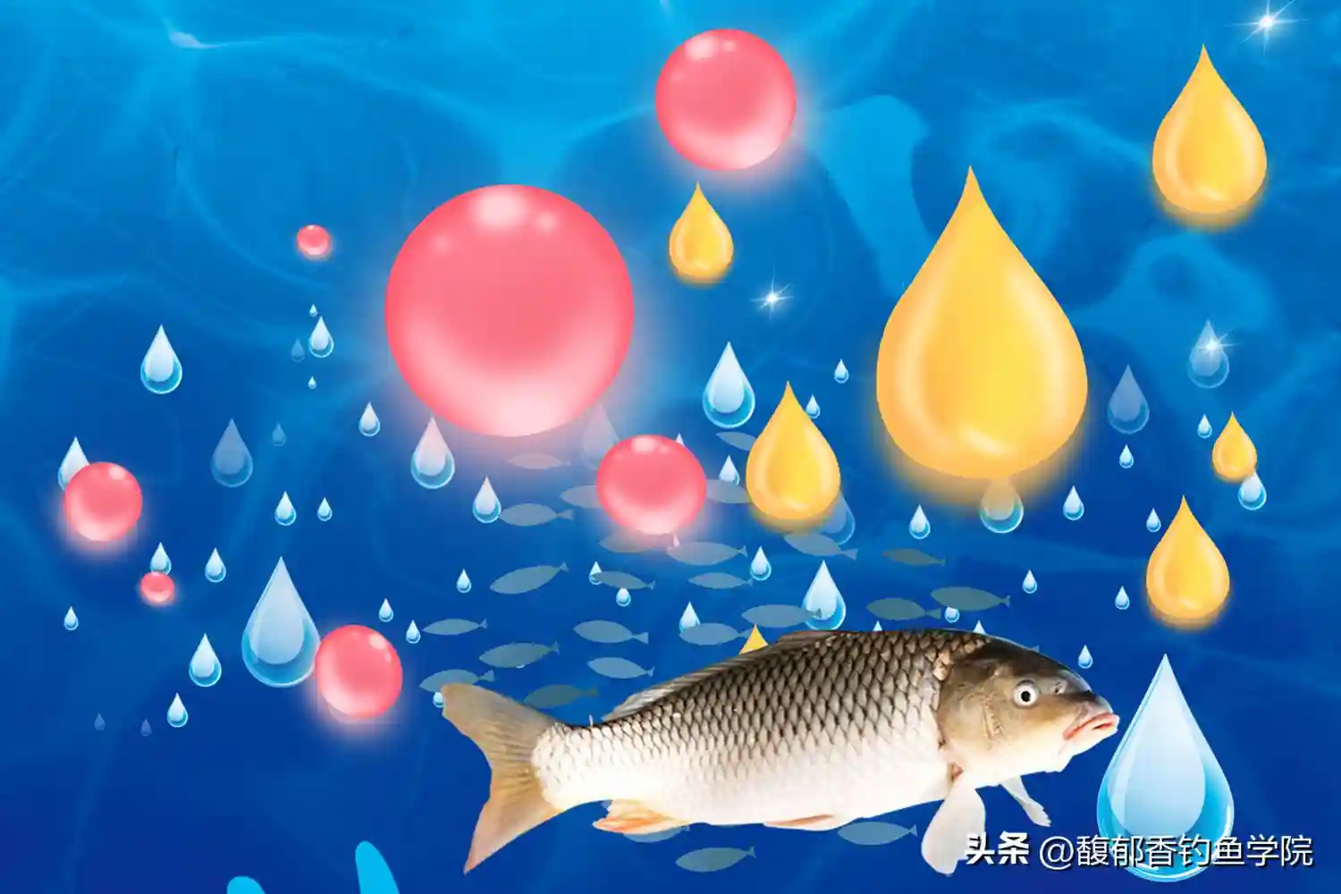 鱼类都有各自喜欢的味型？哪种味型钓鱼好用？鱼饵的味型选择技巧