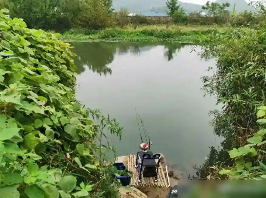 分享一种奇葩的做窝方式，成本低效果好，就是有点累人