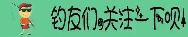 钓什么鱼就用什么钩，不然跑鱼成为家常便饭