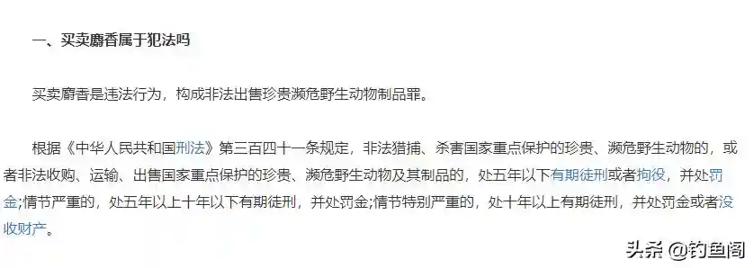 冬天钓鱼用麝香酒效果最好？别被忽悠，这几种小药物物美价廉