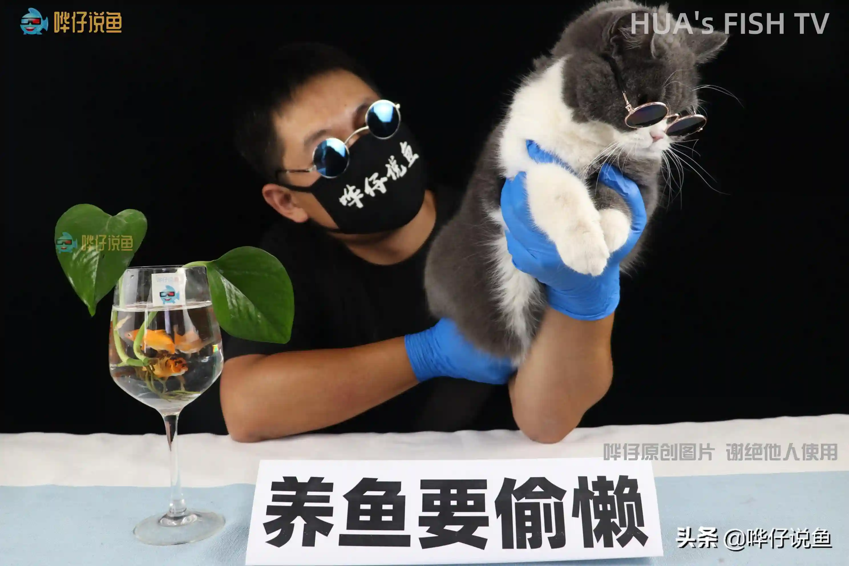 懒人不能养观赏鱼吗？其实偷懒也有偷懒的好处，起码不踩这三个坑