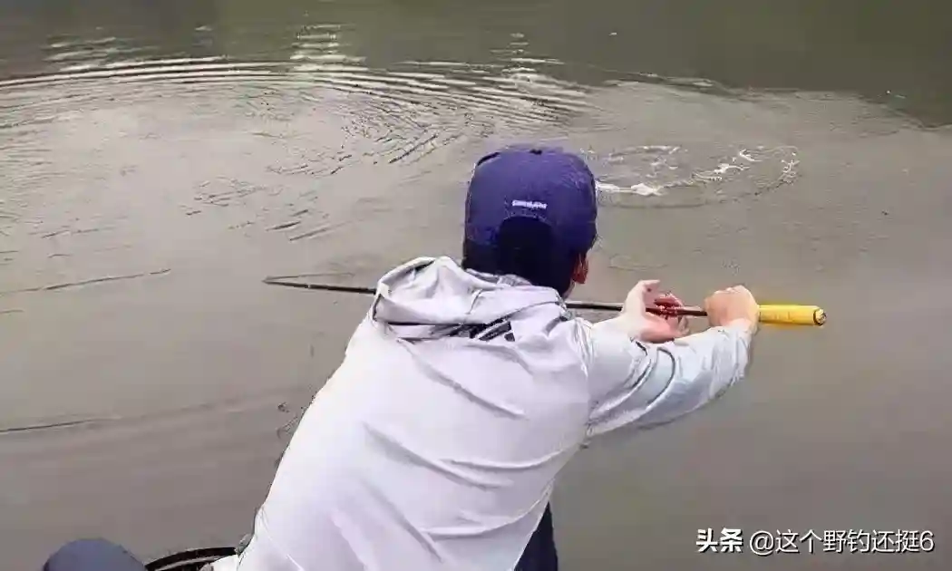 中大鱼后要立杆？合理卸力控鱼才是正确操作，鱼不入护不放松警惕