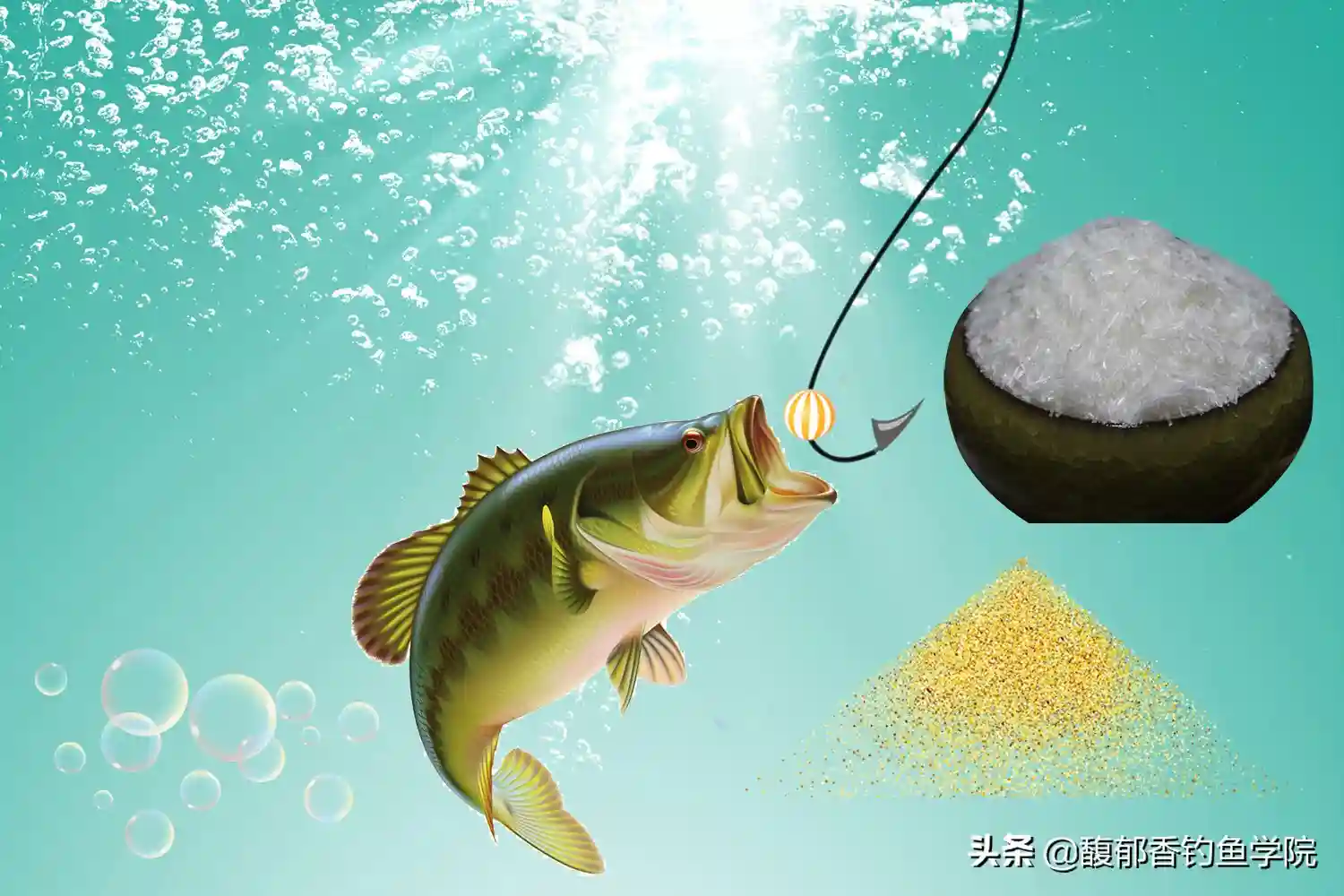 钓鱼用剩下的鱼饵应该如何保存？各类鱼饵的储存方法