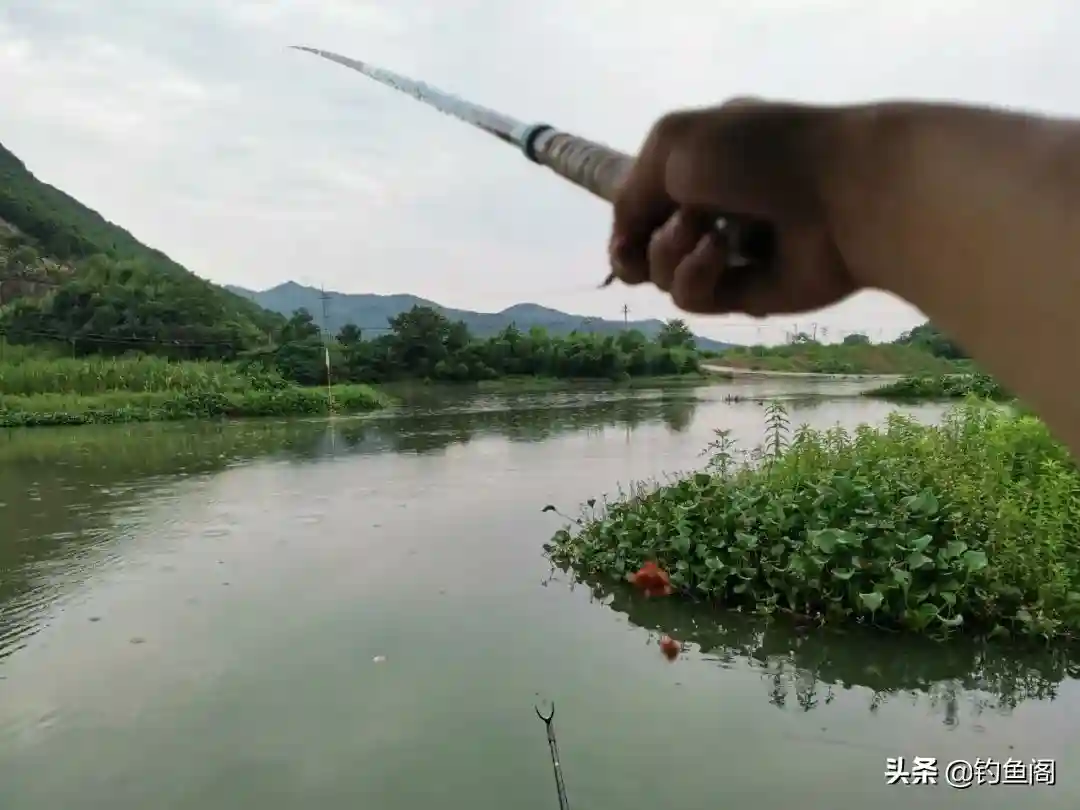 夏季野钓该用多长的鱼竿？早钓近、午钓远，及时调整鱼获多多