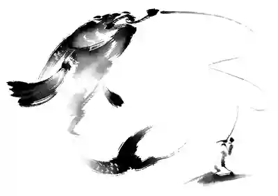 老夏钓鱼，钓的是生活