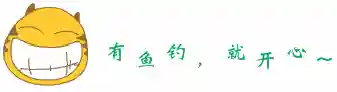 新手钓鱼如何选择浮漂！