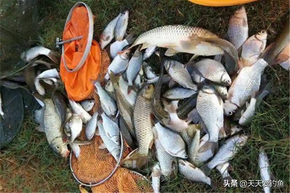 调漂技巧：想知道双饵在水底是什么状态？可以看这些公式