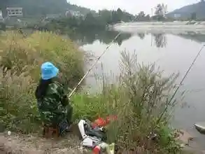 防守型台钓与进攻型台钓的区别与攻略分析