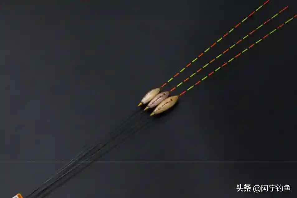 台钓调漂二个步骤调好，零基础看完就会。