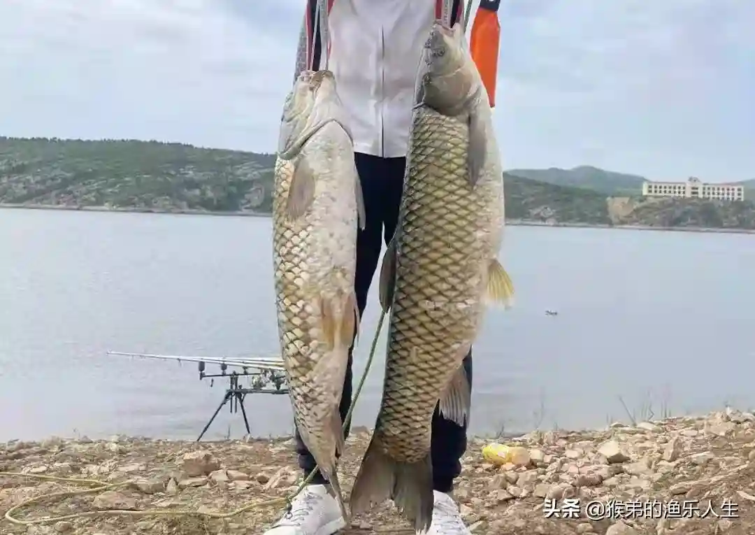 夏季野钓超好用的五款“天然饵料”，只有对症下药才能鱼口不断