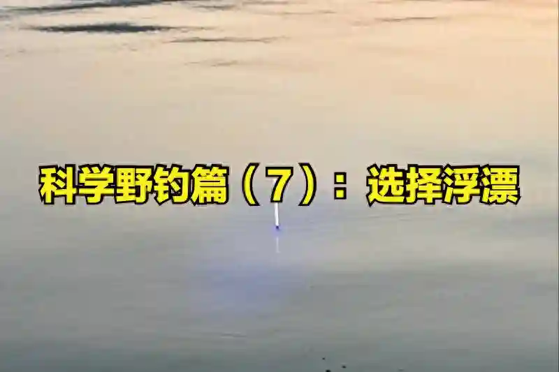 科学野钓篇（7）：野钓用漂的选择和极致灵敏的调整方法