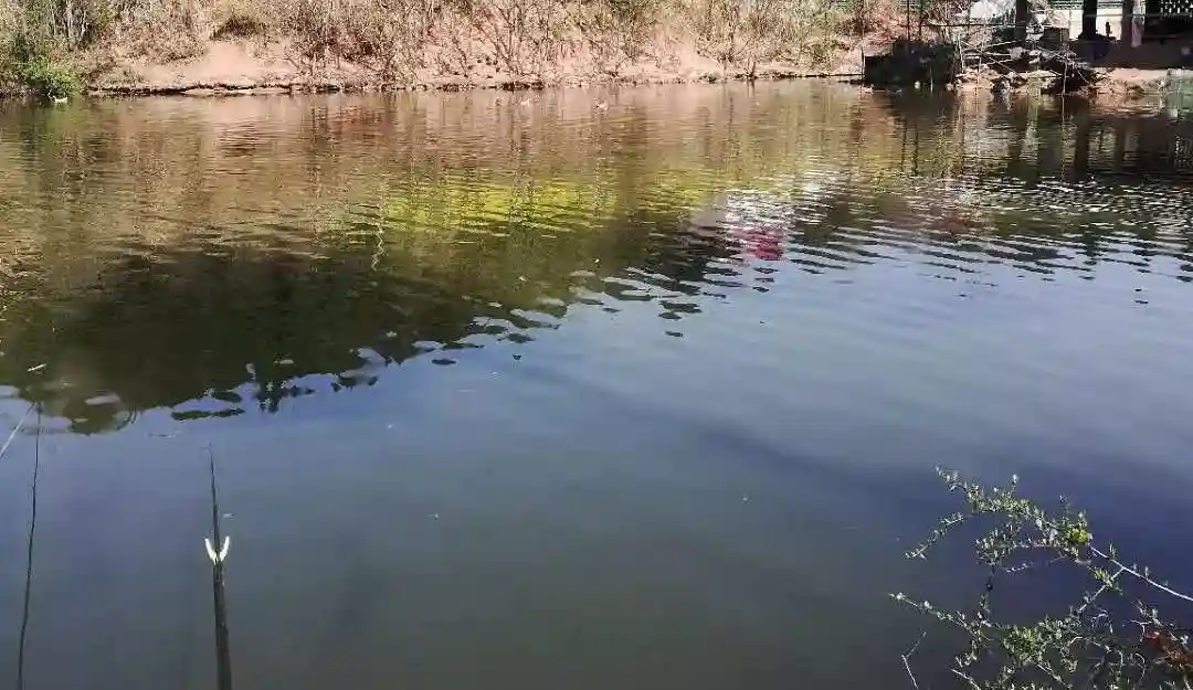 成都周边水库渔情汇总，出钓前值得一看