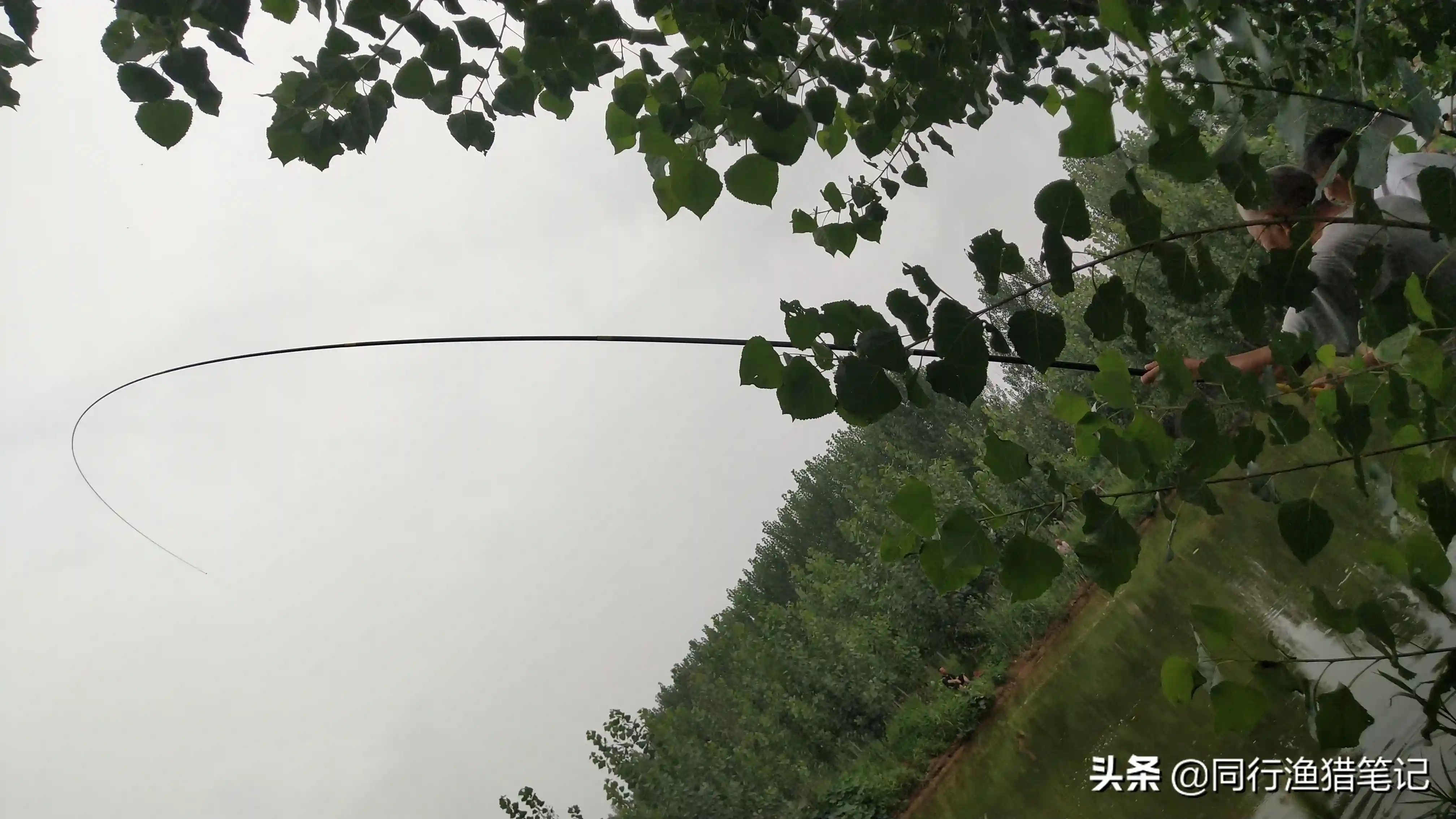 斤塘就是高价塘？请收起你的成见，这种乡村野塘惹人爱且大有可为