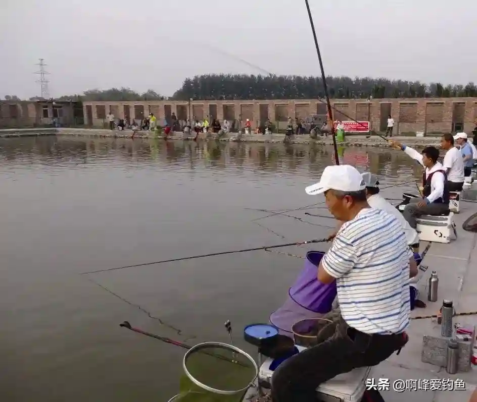 广西一黑坑放鱼量严重不实，被53位钓鱼人联名举报，这下惨咯