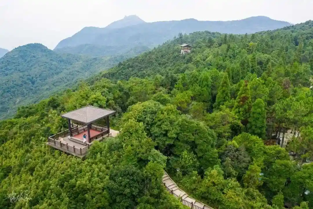 41天闪婚狂捞1300万，结婚3个月逼死老公，翟欣欣的PUA手段有多毒