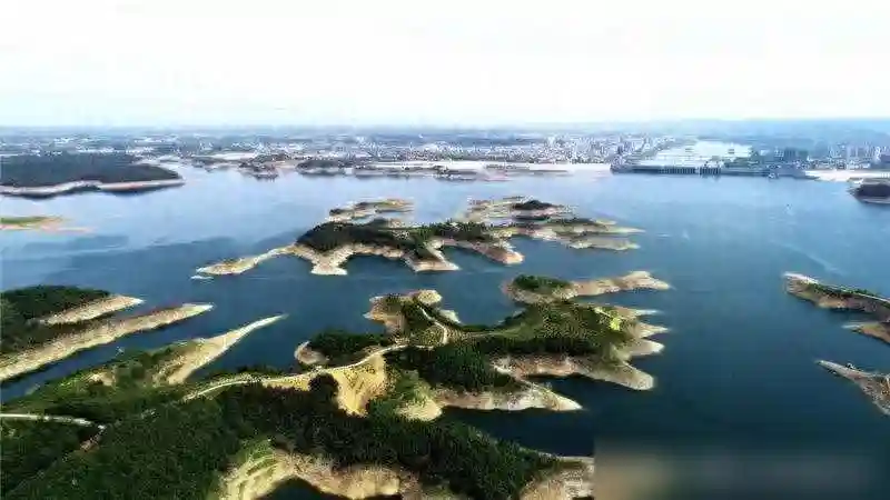 有“亚洲天池”之称的丹江口水库，水深176米，里面的鱼有多大？