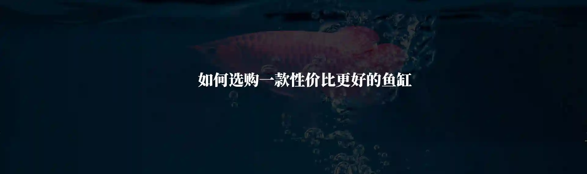 那些网上的鱼缸品牌可信度有多低 选购鱼缸不要只看价格