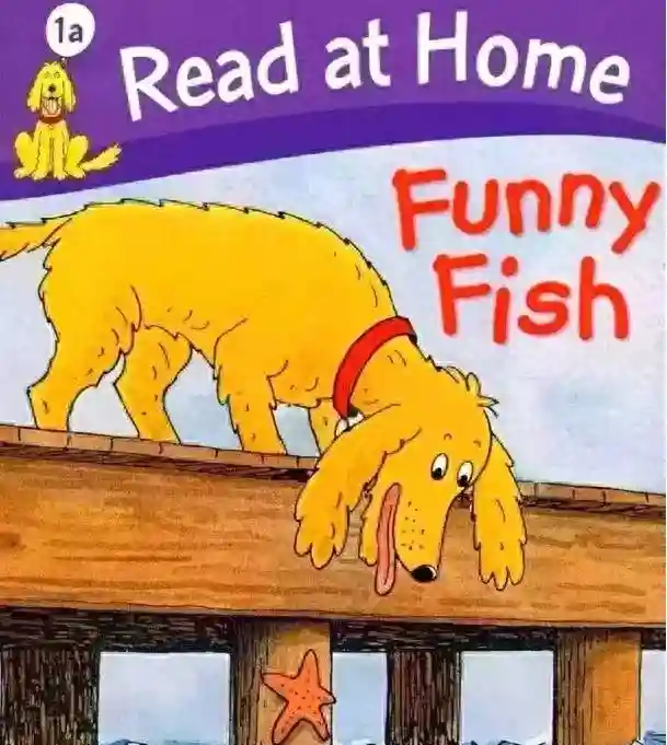 绘本屋丨Funny Fish 有趣的鱼