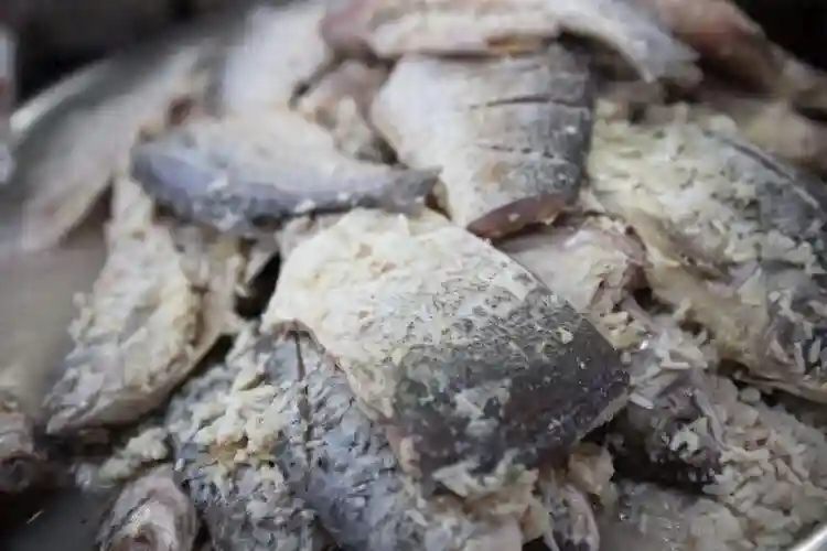 美国研究：鱼肉含有毒物质，多吃或致癌？真正要少吃的是这3种鱼