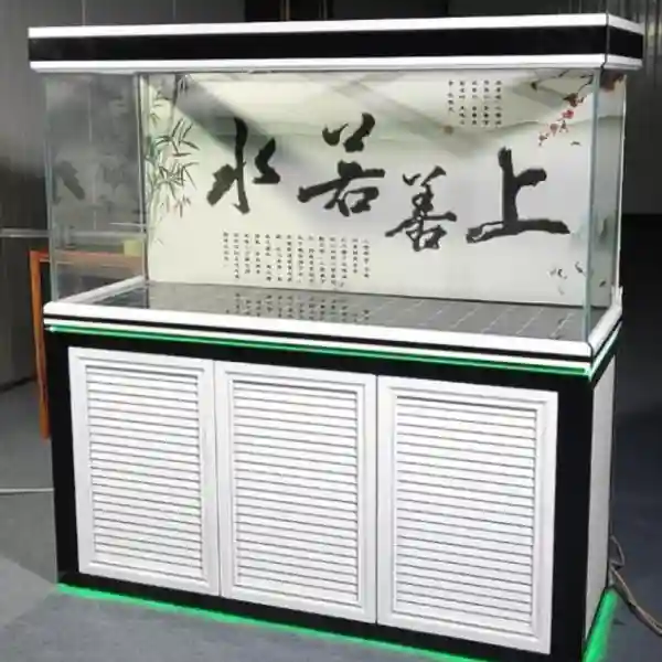 如何挑选一款适合自己的鱼缸呢