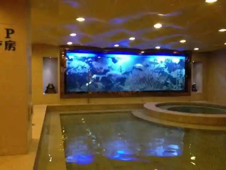 东西湖区最新的鱼缸定做订制