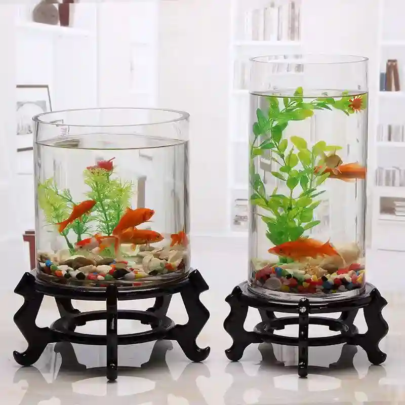 新手养鱼的第一步，可能选择小圆玻璃缸，有什么注意问题？