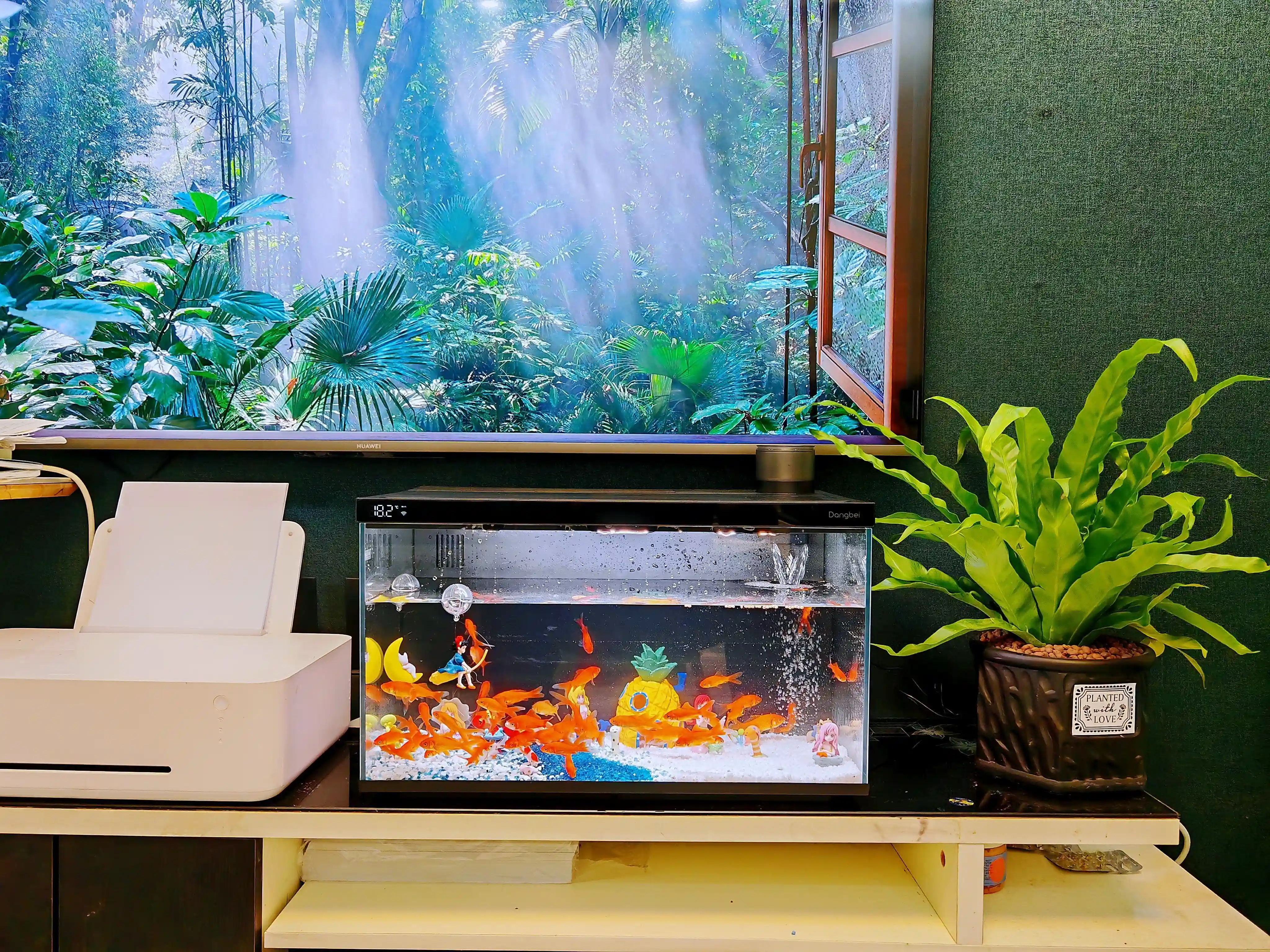 自动喂食、净化水质还能APP控制，当贝智能鱼缸让我用的傻眼了